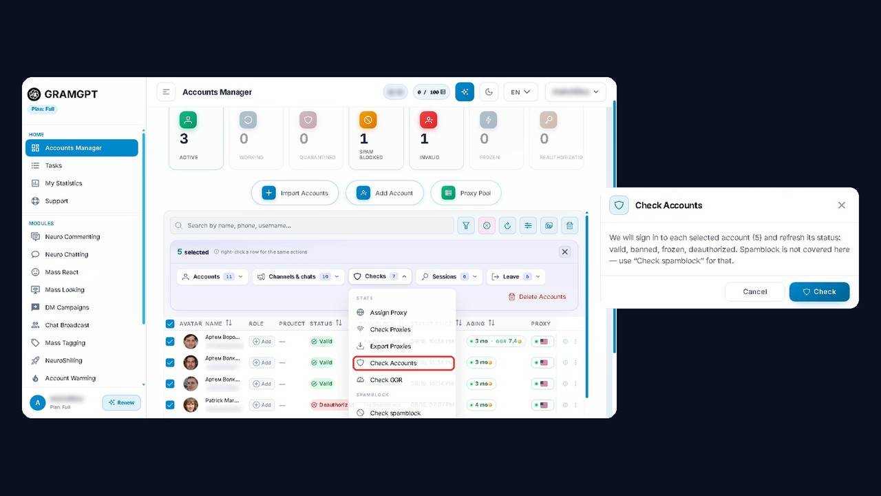 Checking accounts in the GramGPT manager: the Checks menu and status check dialog