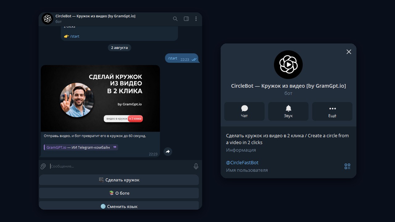 Бот-конвертер: кружок в тг из видео в два клика