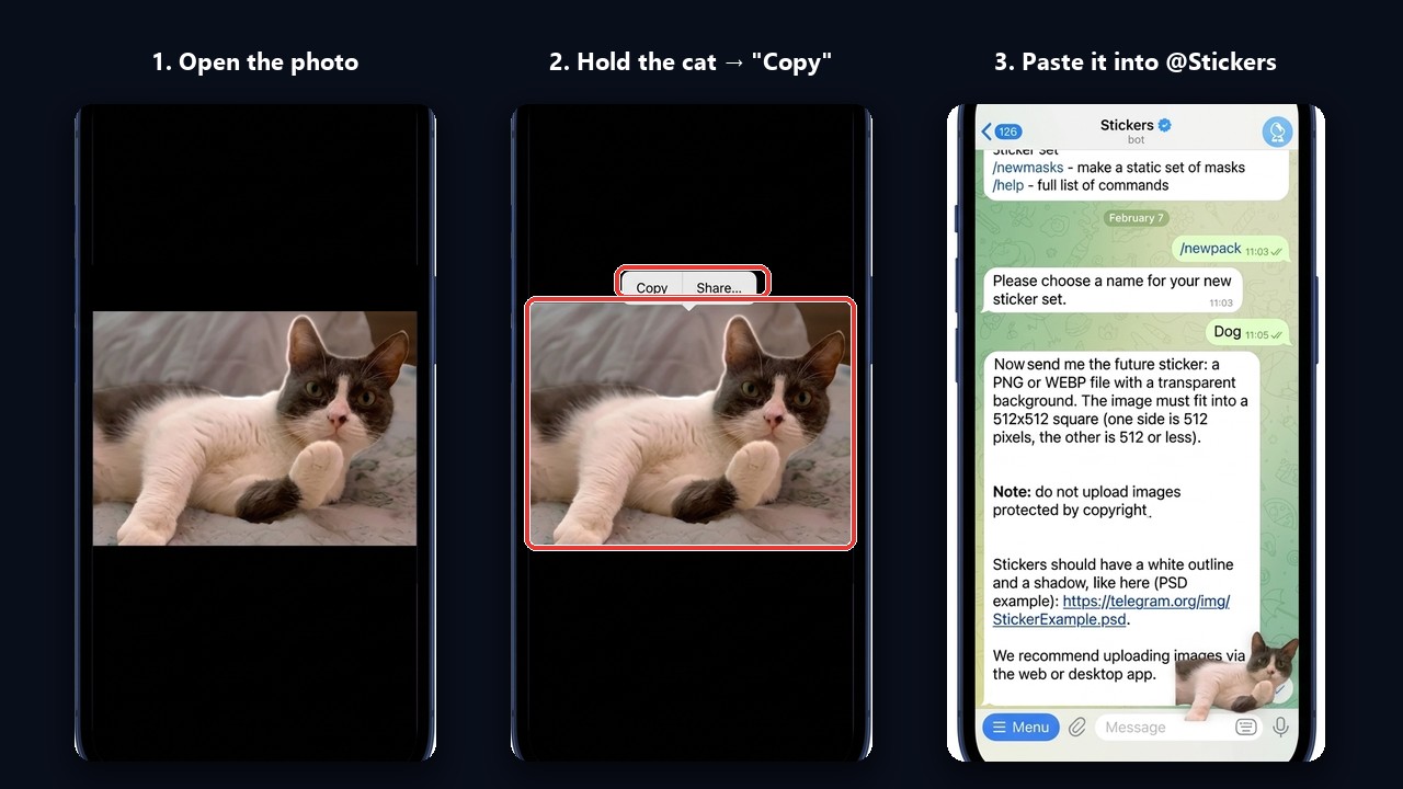 Create Telegram stickers on iPhone: hold the subject, copy it and paste it to the bot