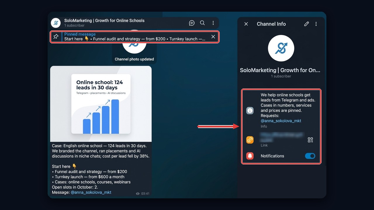 Find clients for a marketing agency: Telegram channel setup with a niche name, bio and pinned prices