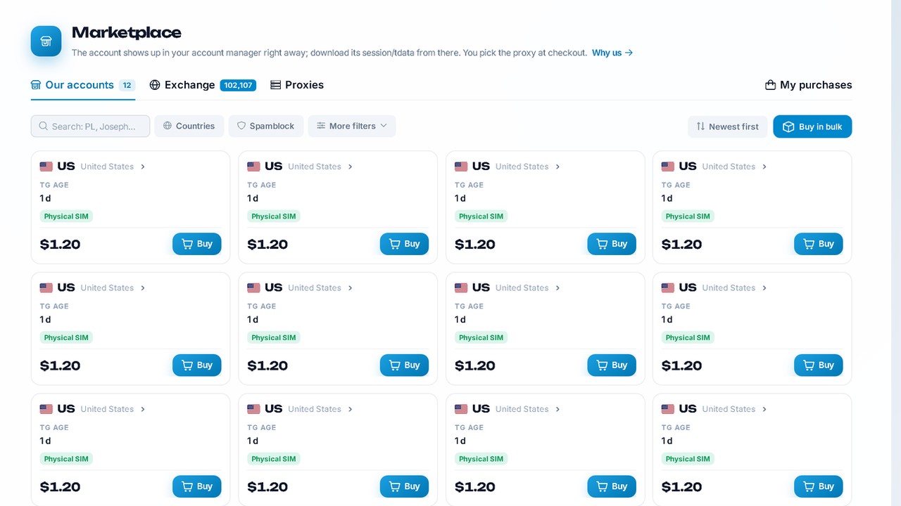 GramGPT account marketplace: replacing a lost account