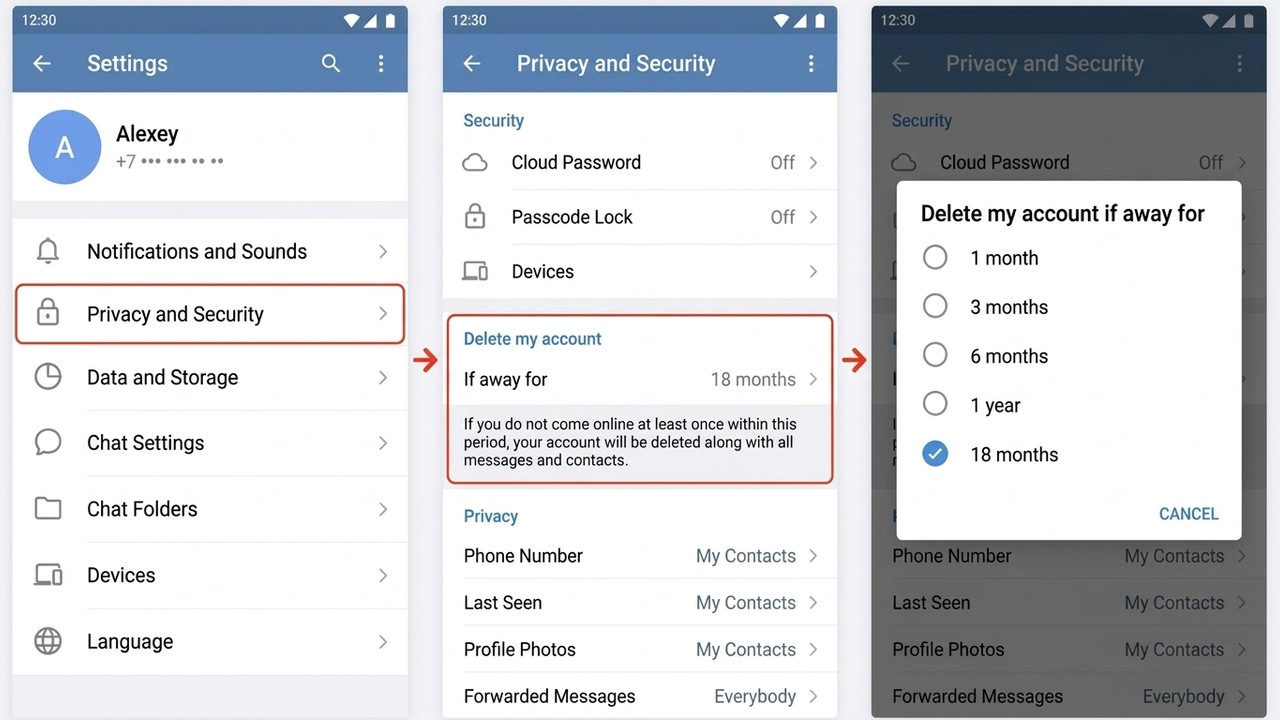 How to delete a Telegram account on Android: Privacy and the Delete my account block