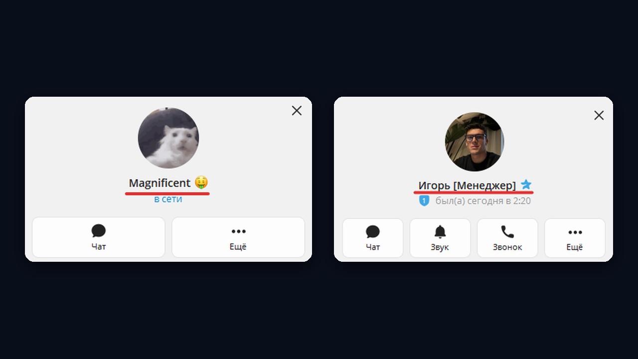 Имя в профиле Telegram: ник с эмодзи и имя с должностью