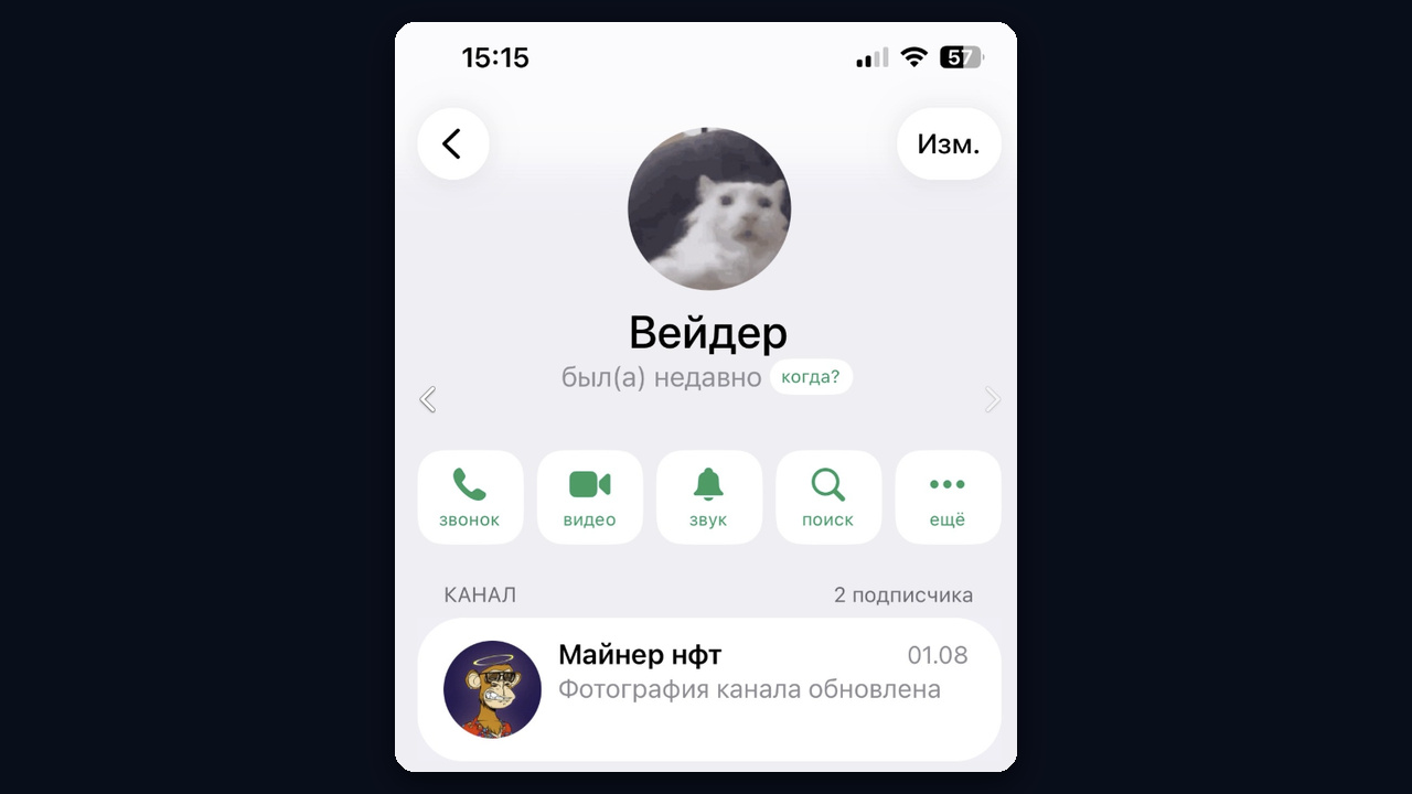 Блок «Канал» в профиле тг: подписчики и последний пост
