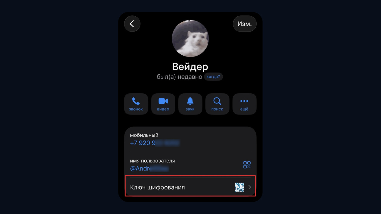 Ключ шифрования секретного чата в Telegram