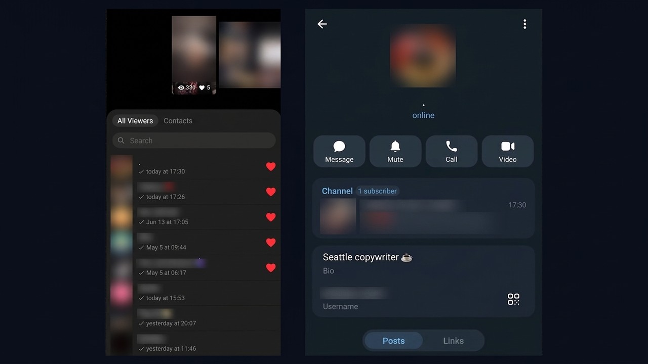 Mass Looking result: the account in the story viewers list and a channel in its profile