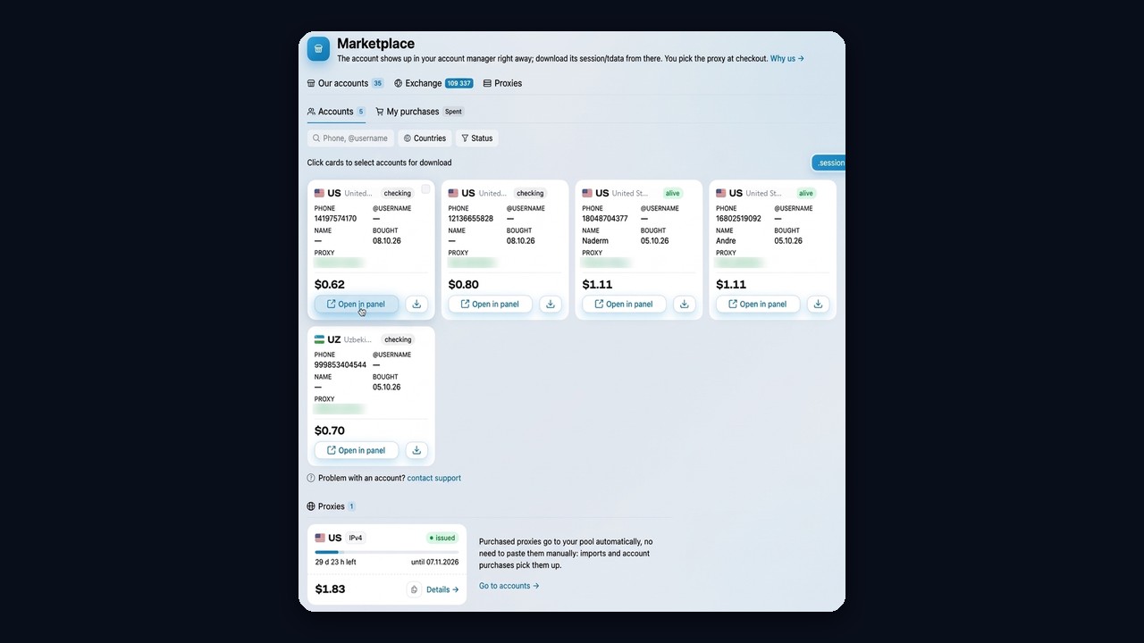 My purchases in the GramGPT marketplace: bought Telegram accounts and proxies