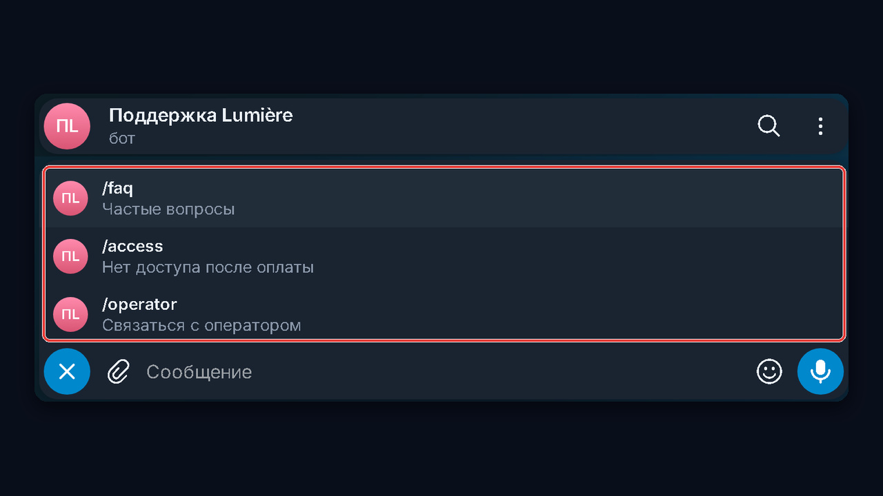Проверка бота поддержки тг глазами клиента: меню команд /faq, /access, /operator