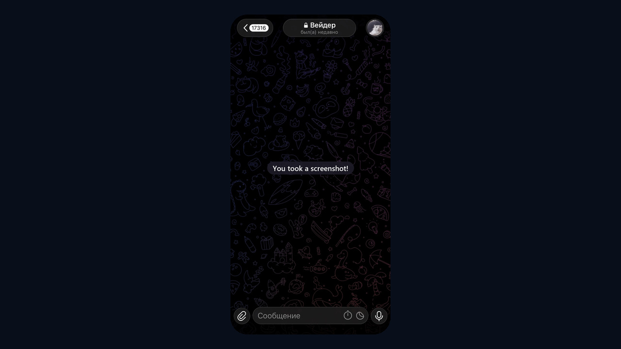 Screenshot in a Telegram secret chat: the «You took a screenshot!» notice