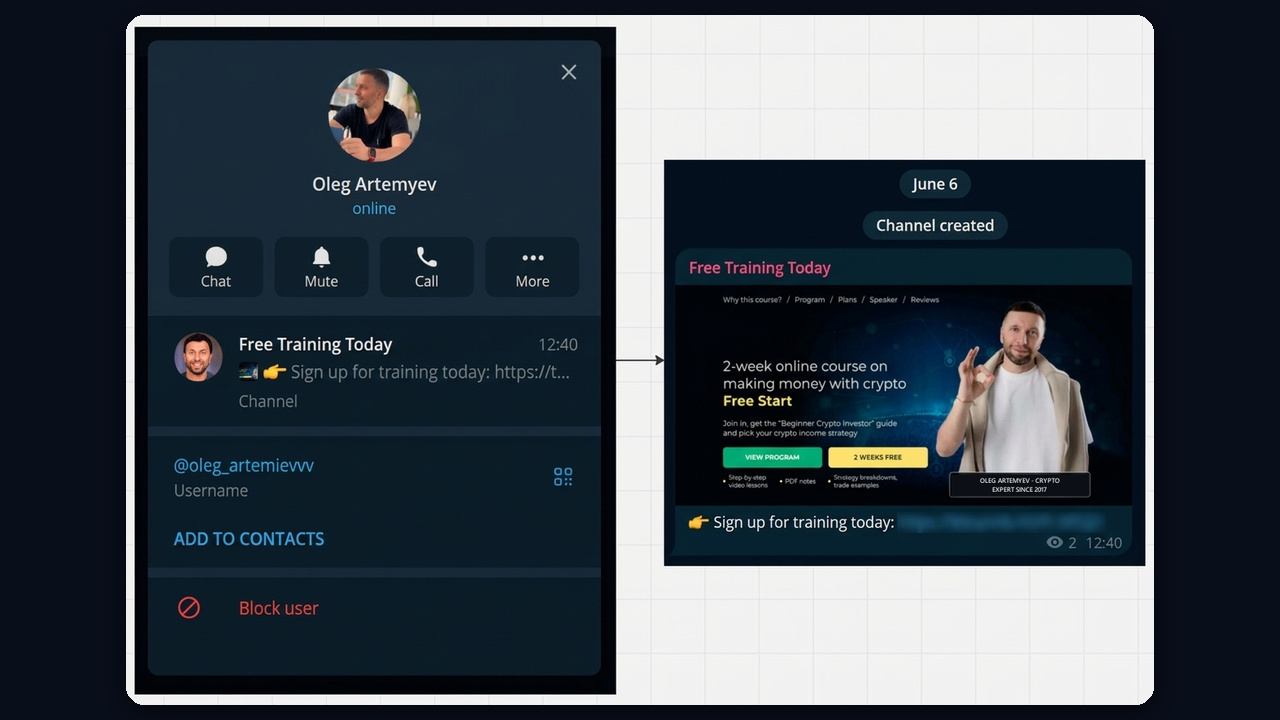 Telegram bio of an expert: profile photo and a pinned channel with a course