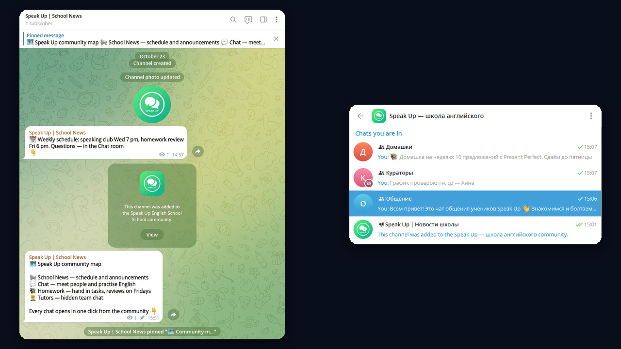 Community structure for an online school: visible and hidden chats