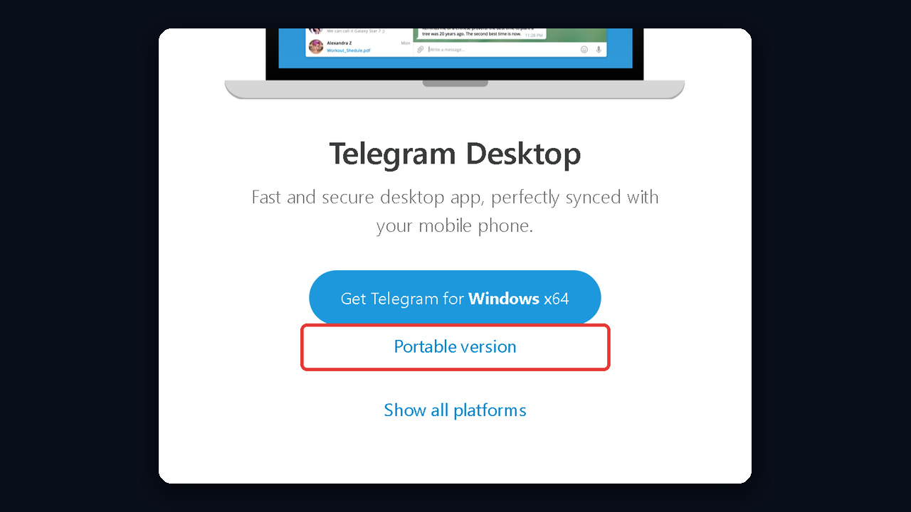 Telegram Desktop portable version for a tdata login on desktop.telegram.org