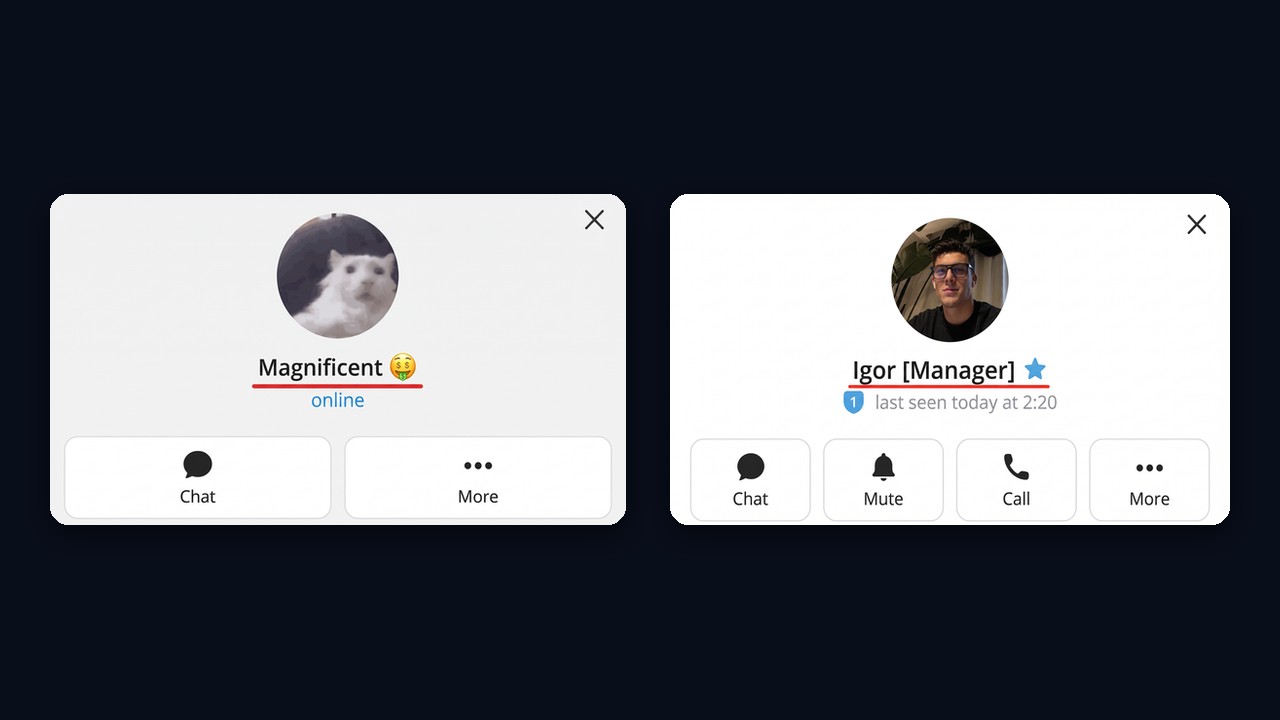 Telegram display name on a profile: a nickname with emoji and a name with a job title