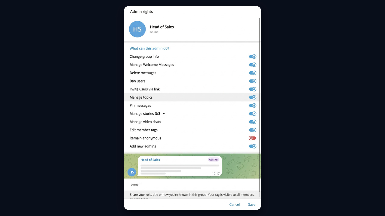 Telegram group admin rights: only the team lead can add new admins