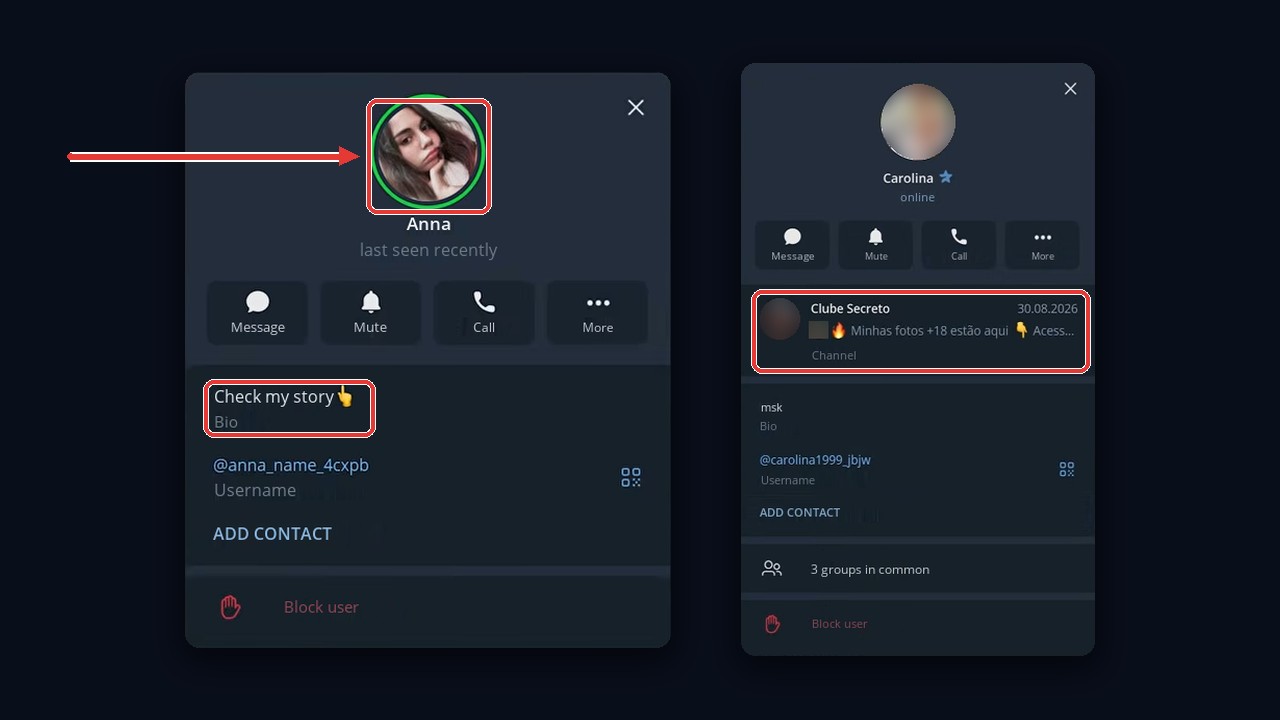 Telegram priming profiles: a story with a bio hint and a pinned bridge channel