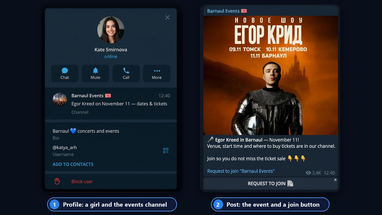 Profile promoting a news channel: an event in the pinned channel and a join button