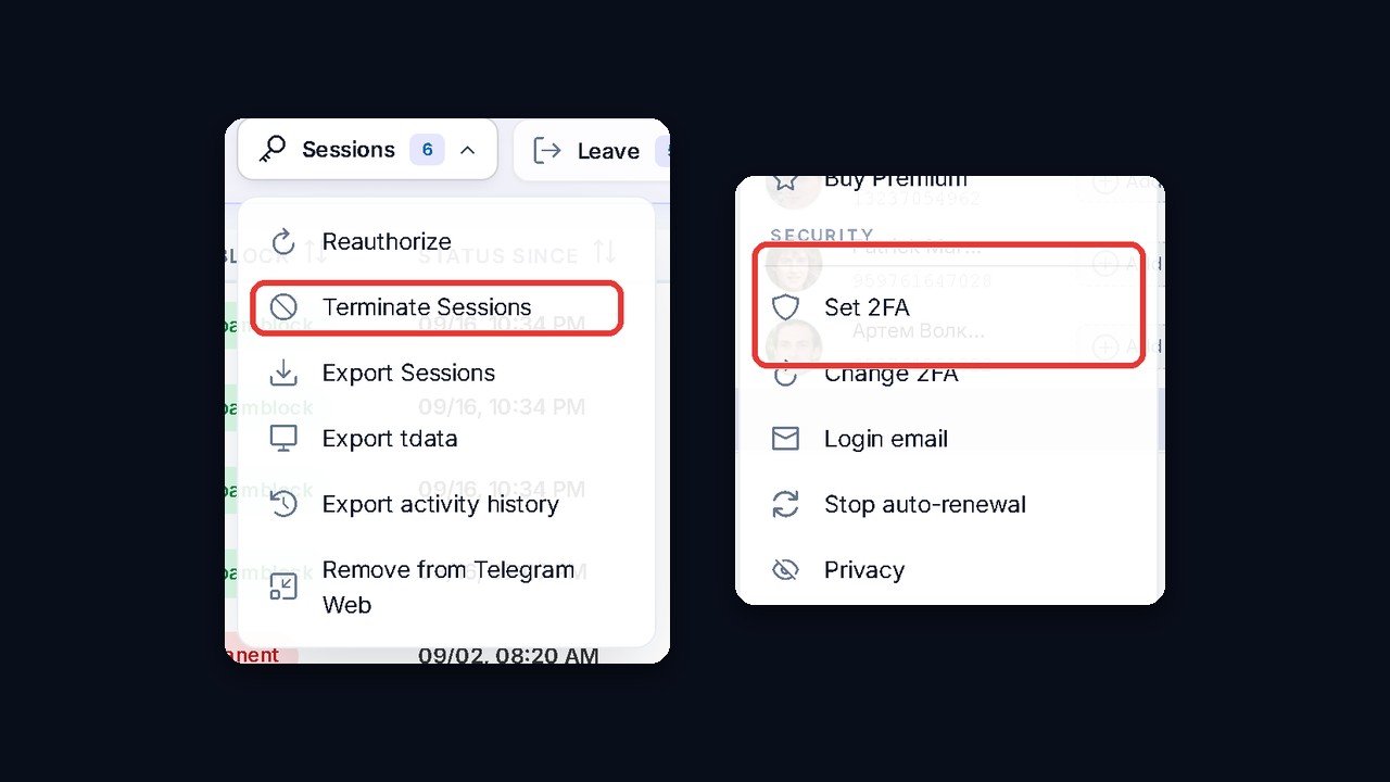 GramGPT account manager: terminate sessions and set 2FA in bulk