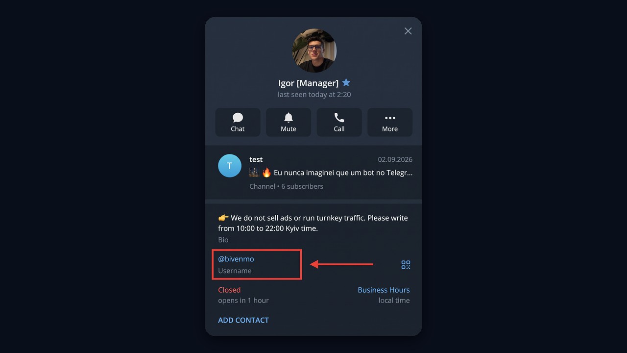 Where to find a Telegram username: the Username line on a profile