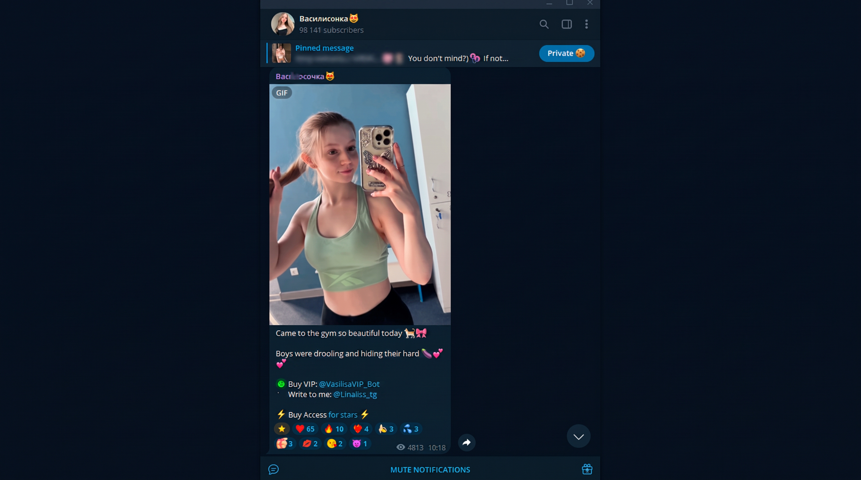 Adult 18+ vertical, Telegram channel with a model