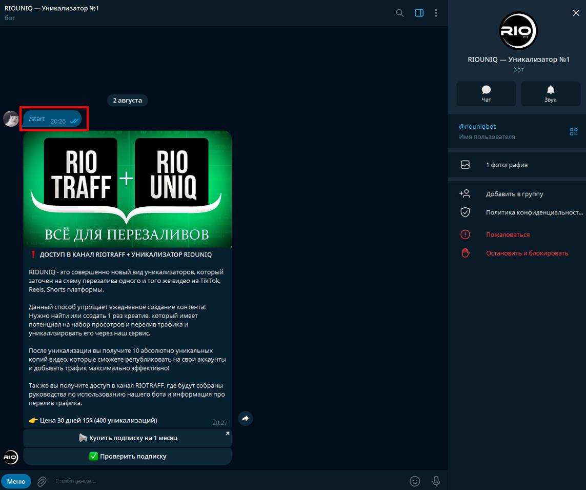 Как запустить бота в Телеграм