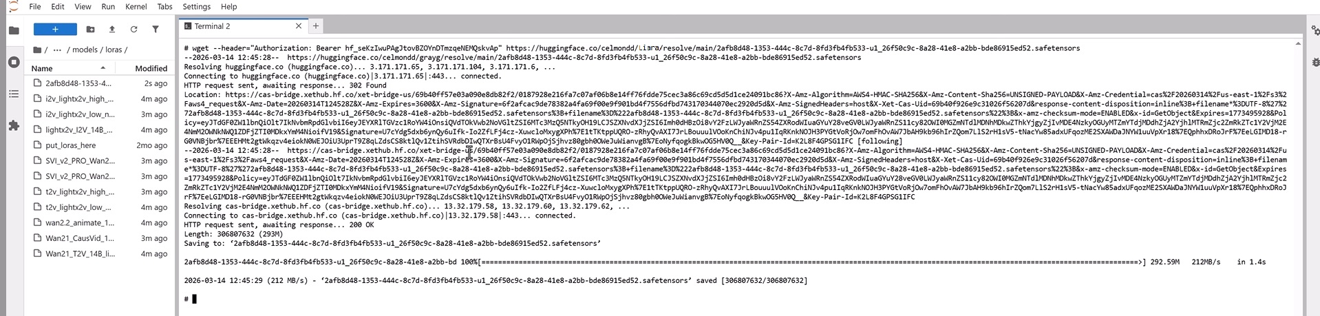 transferring LoRA to the server through JupyterLab